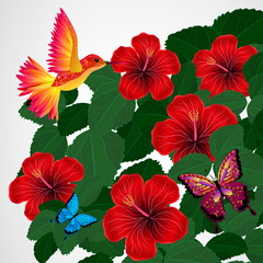 Floral design background. Hibiscus flowers with bird.