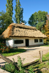 Fototapeta na wymiar ukrainian rural cottage with a straw roof