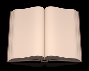 Open Book. Clipping path included.