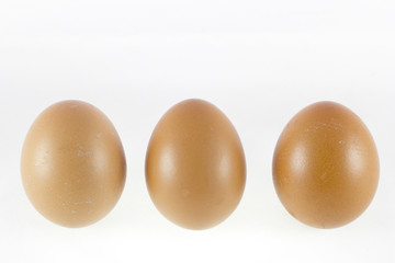 Eggs