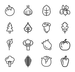 Vegetables and Fruits Icons