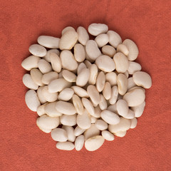 Circle of white beans