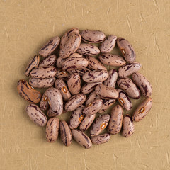 Circle of pinto beans