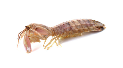 Fresh mantis shrimp on a white background, closeup of photo