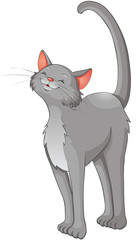 verträumter grauer Kater