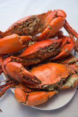 steam crab seafood on plate