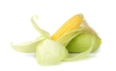corn isolated on white background