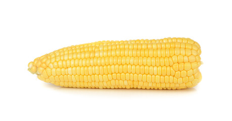 corn isolated on white background