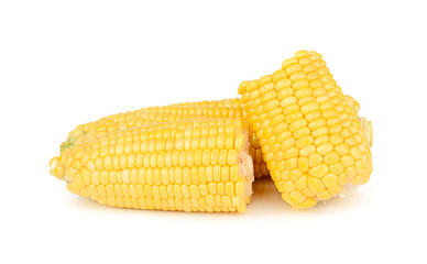 corn isolated on white background