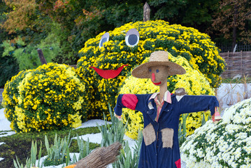 Fototapeta na wymiar Vegetable garden, guarded by a scarecrow