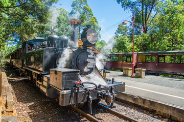 Puffing Billy steam train