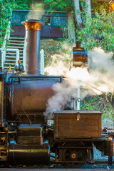 Puffing Billy steam train