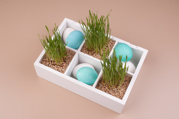 Easter eggs with grass decoration in box