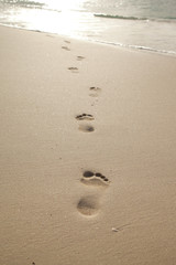 Fototapeta na wymiar feet in the sand
