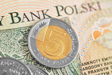 5 złotych