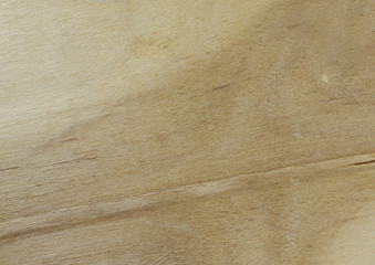Wood Texture - High Resolution Scan
