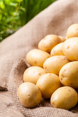 Farm fresh  potatoes on a hessian sack
