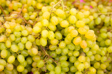 Bunch of grapes