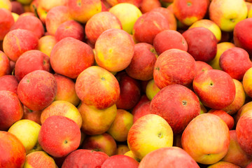 Ripe village apples
