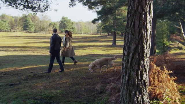 An attractive couple walking their dog in the forest on a bright autumn morning