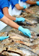 Foto auf Alu-Dibond the cutting of a tuna fish in factory, tuna fish processing © Nattawut Thammasak
