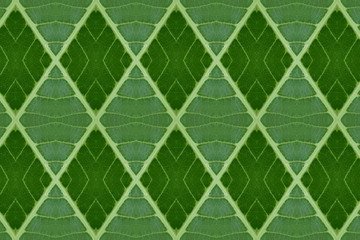 Idea form leaf.(Pattern for wallpaper concept)