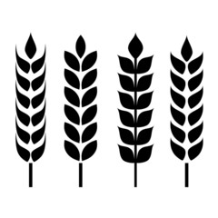 Wheat ear icon