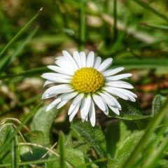 Obraz premium Frühlingserwachen...
