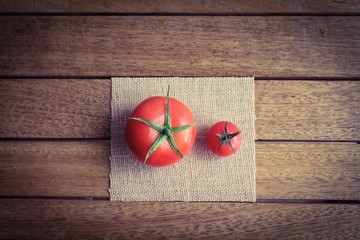 Two different sized tomatoes