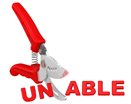 Able (способный). Концепция изменения заключения