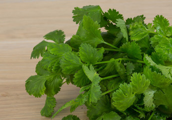 Coriander leaves
