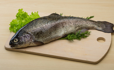 Raw fresh trout