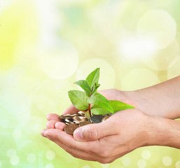 Money. Palms with a tree growing from pile of coins with green
