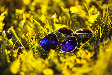 Sunglasses in the grass