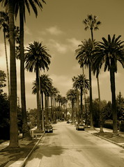 Street in Hollywood 
