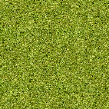 Seamless green meadow grass texture.