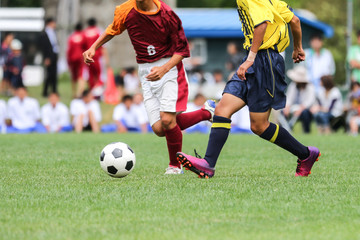 Fototapeta premium サッカー