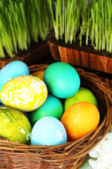 Easter eggs in basket and green grass close-up