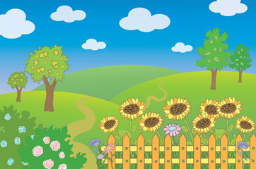 Summer landscape with fence and sunflowers