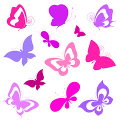 butterflies design