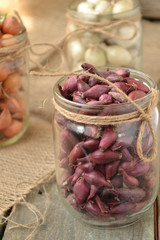 onion Seedling different colors in glass jars