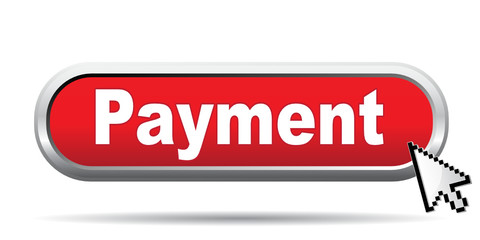 PAYMENT ICON
