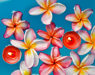 Many frangipani flowers with two red candle in the blue water