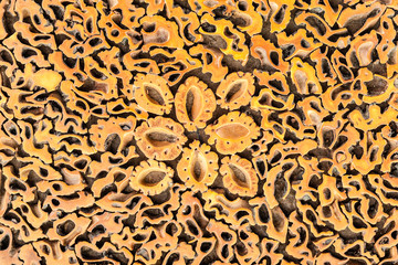 Inlay wood intricacy