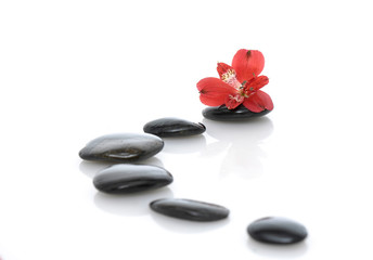 zen basalt stones and red orchid