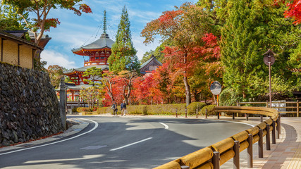  Jofuku-in Temple on Mt. Koya in Wakayama
