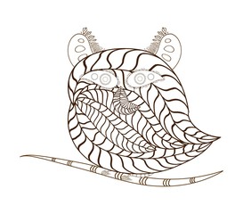 owl florals hand drawn