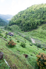 Fototapeta premium countryside, farmer house in countryside with agriculture