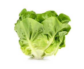 Lettuce isolated on white background