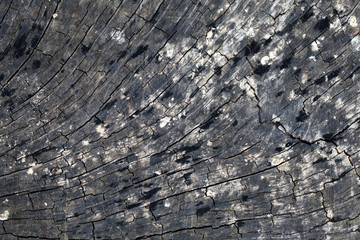 wooden texture background